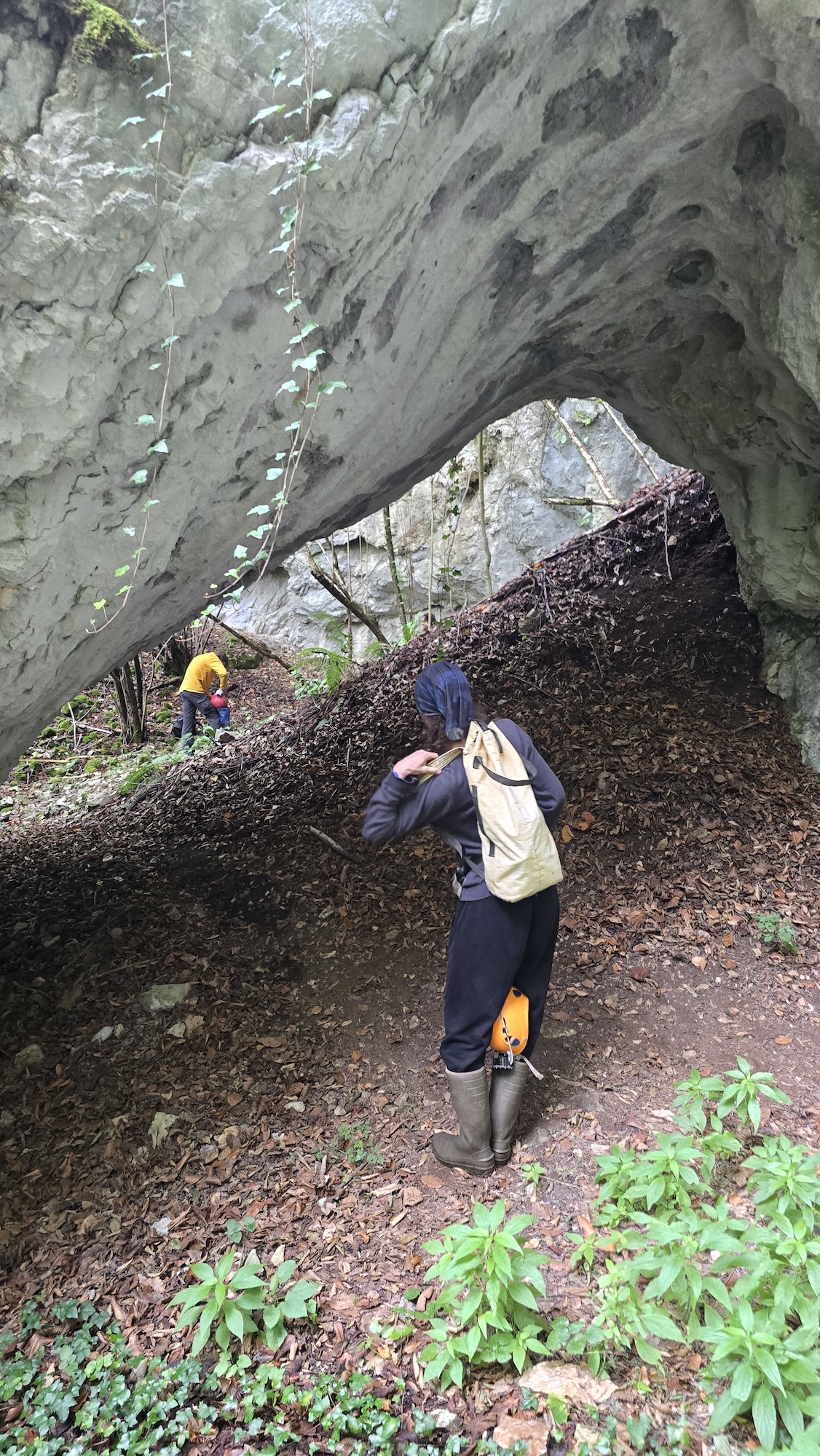 Detaliu pod natural - punte